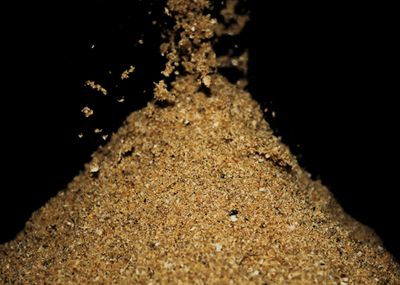 Animal Feed