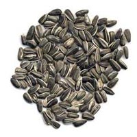 Sunflower Seeds
