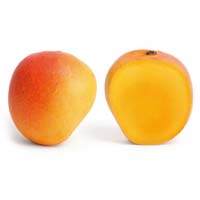 Fresh Mango