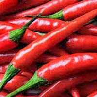 Fresh Red Chilli